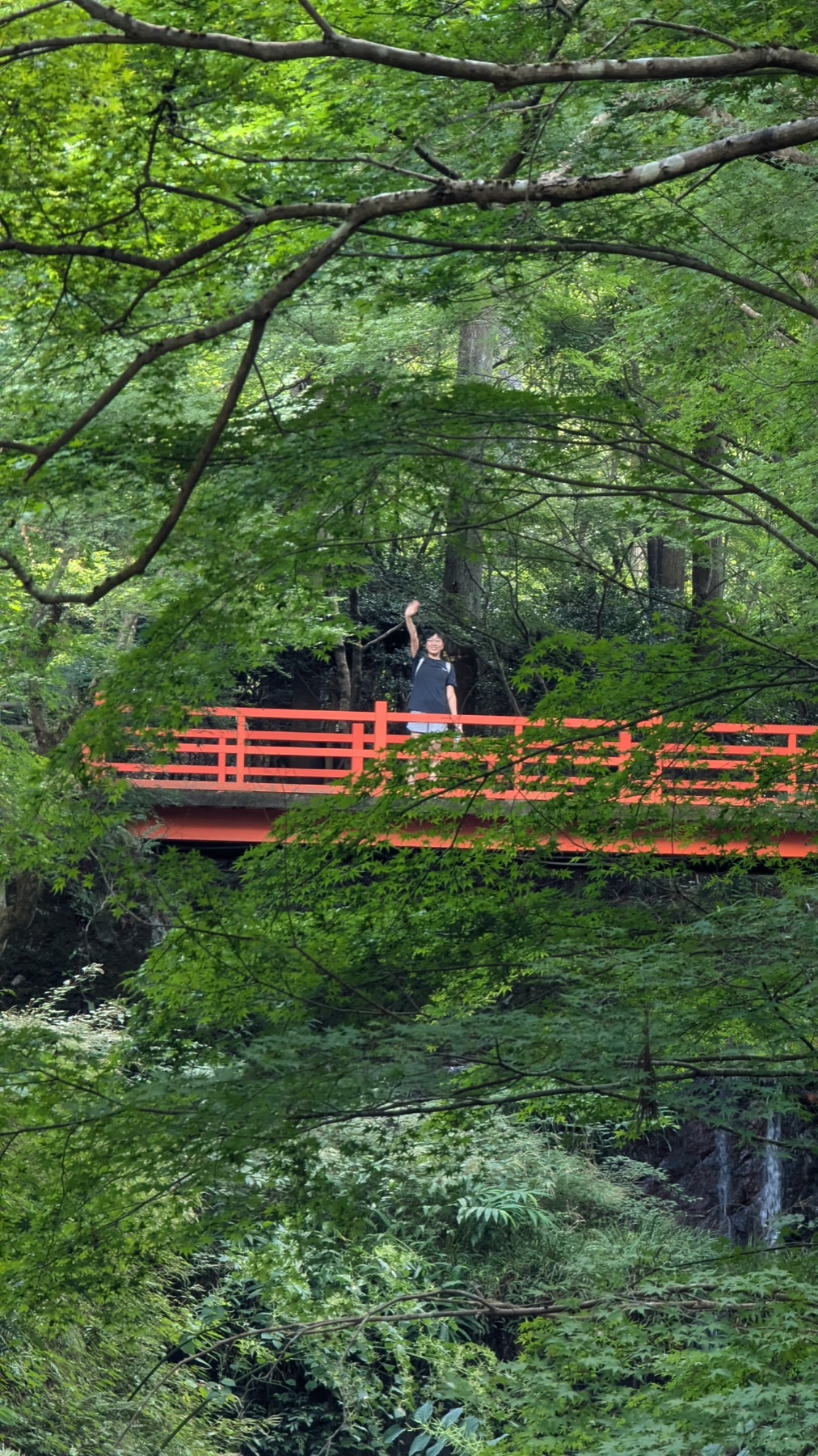 京都寺庙